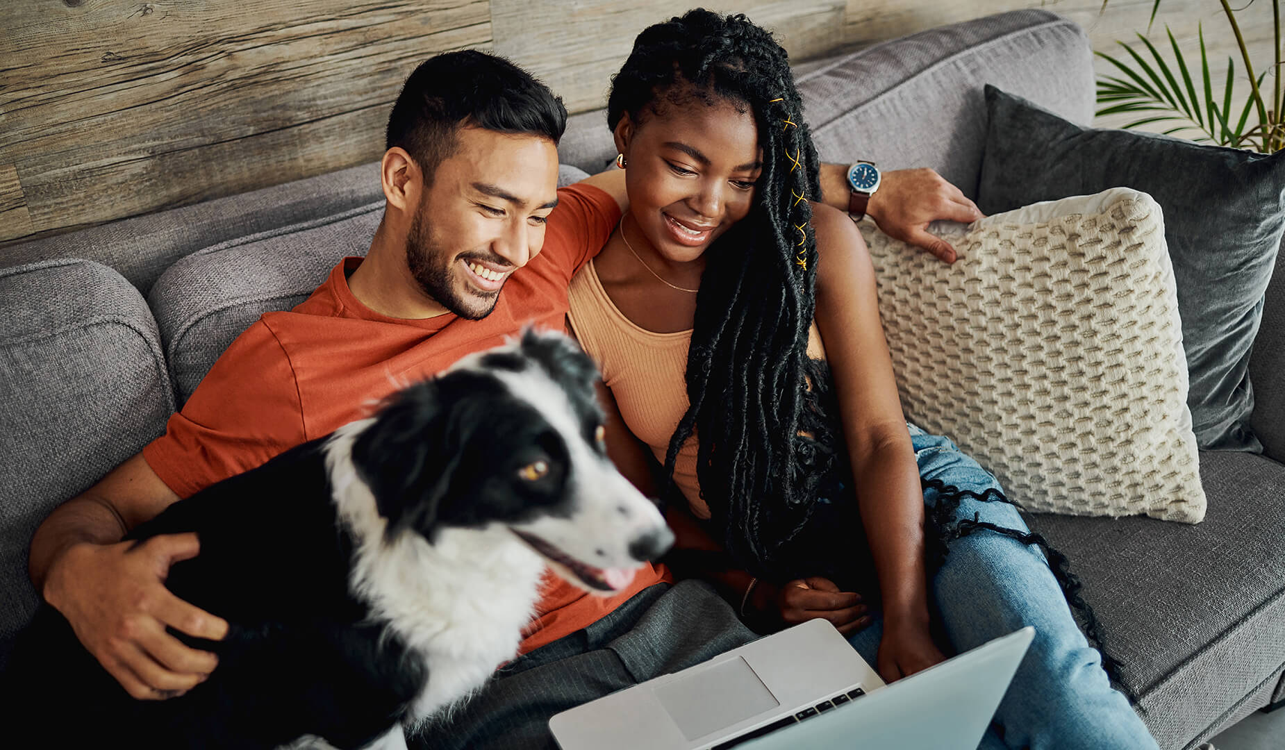 couple and dog looking at laptop